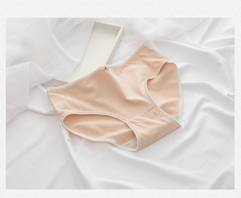 Combo 5 quần lót cotton nơ nhiều màu sắc