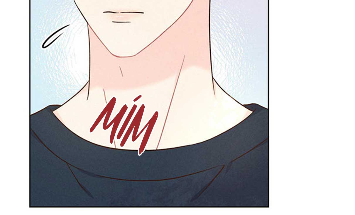 shallow focus chapter 8 64