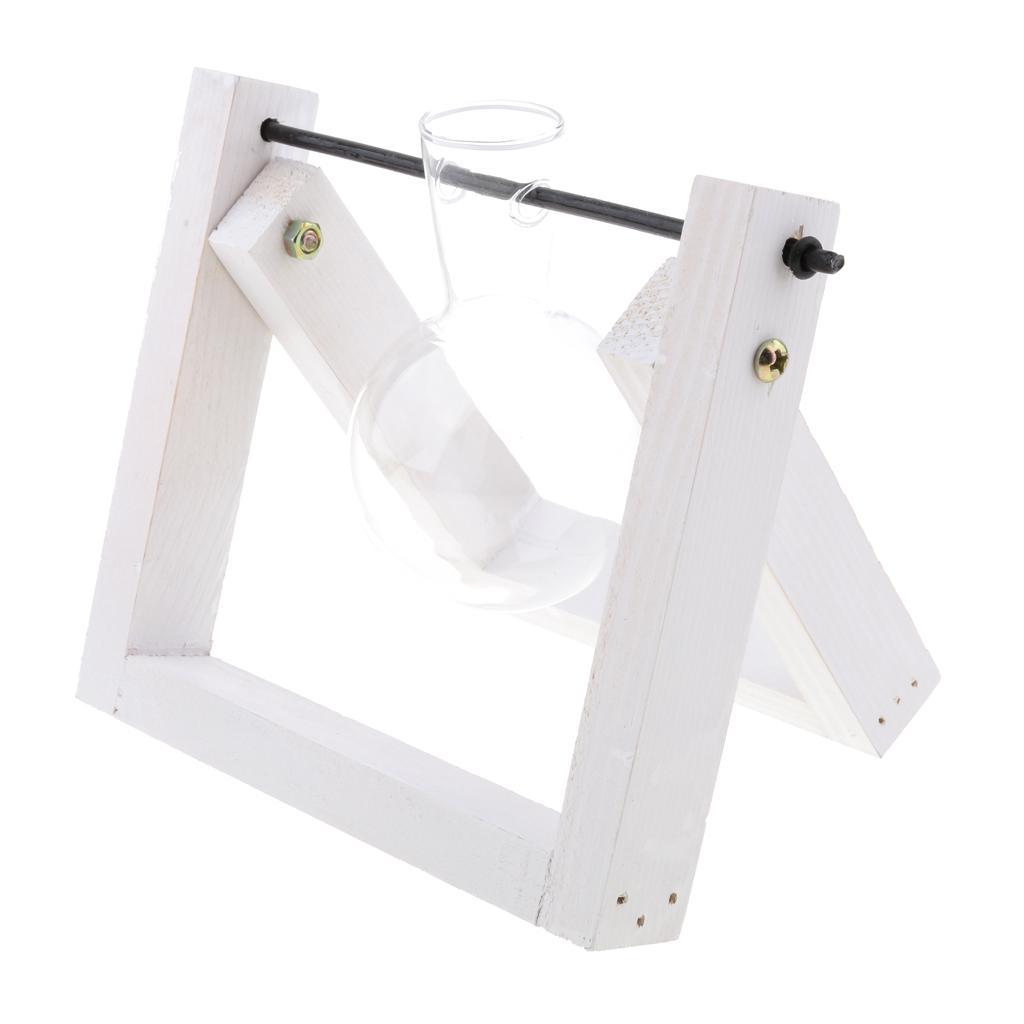 Vintage Glass Tabletop Hydroponic Flower Vase