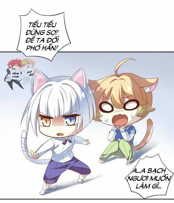 miêu trảo chi hạ chapter 1 13