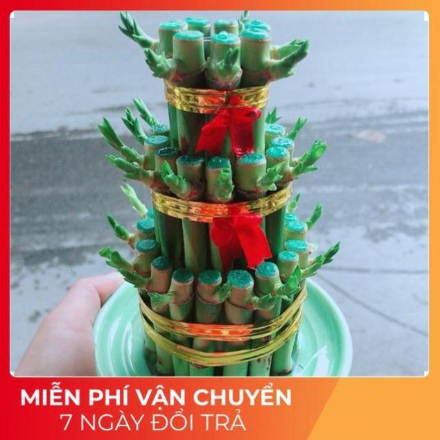 Trúc Phát Tài 3 Tầng