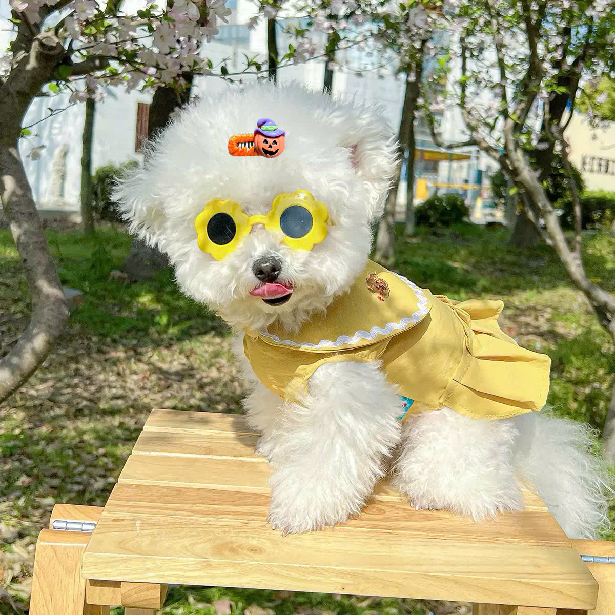 NƠ KẸP TÓC BUỘC TÓC CÀI TÓC THỜI TRANG DỄ THƯƠNG HALLOWEEN MÃ 35 CHO THÚ CƯNG CHÓ MÈO