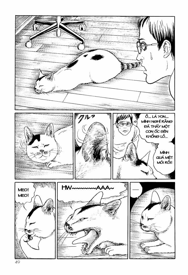ito junji cat's diary chapter 5 3