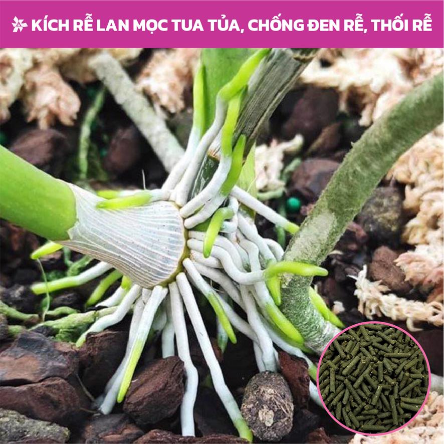 Phân bón cho hoa lan Organic Austra 5-5-5-75 OM tan chậm, viên nén dinh dưỡng hữu cơ chính hãng Úc (1KG)