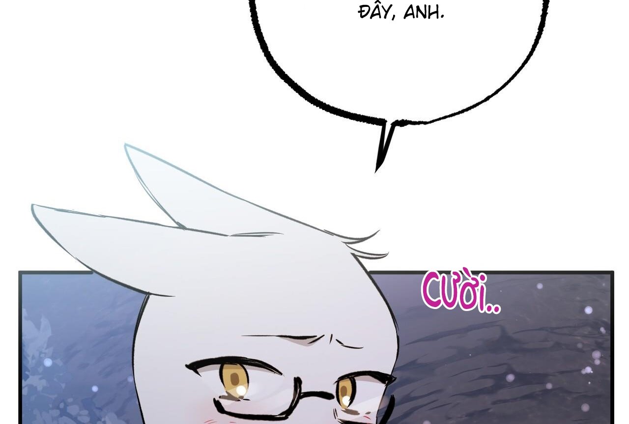 những chú thỏ của hapypy chapter 61 186