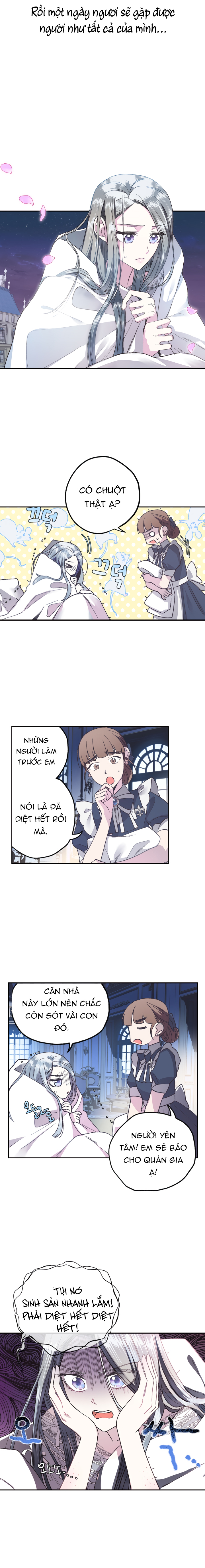 cha à, con không muốn kết hôn đâu chapter 6 15