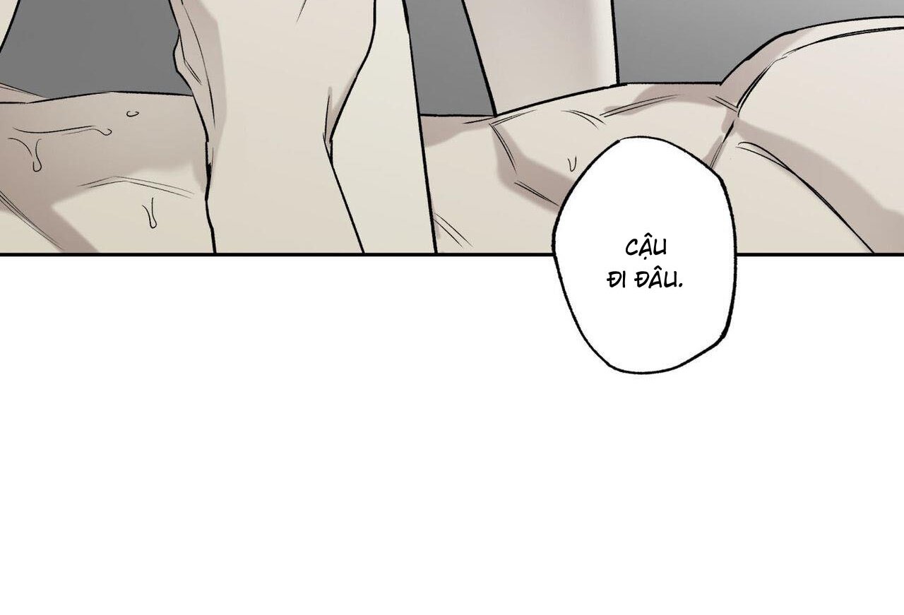 chàng giao pizza và gold palace chapter 47 60