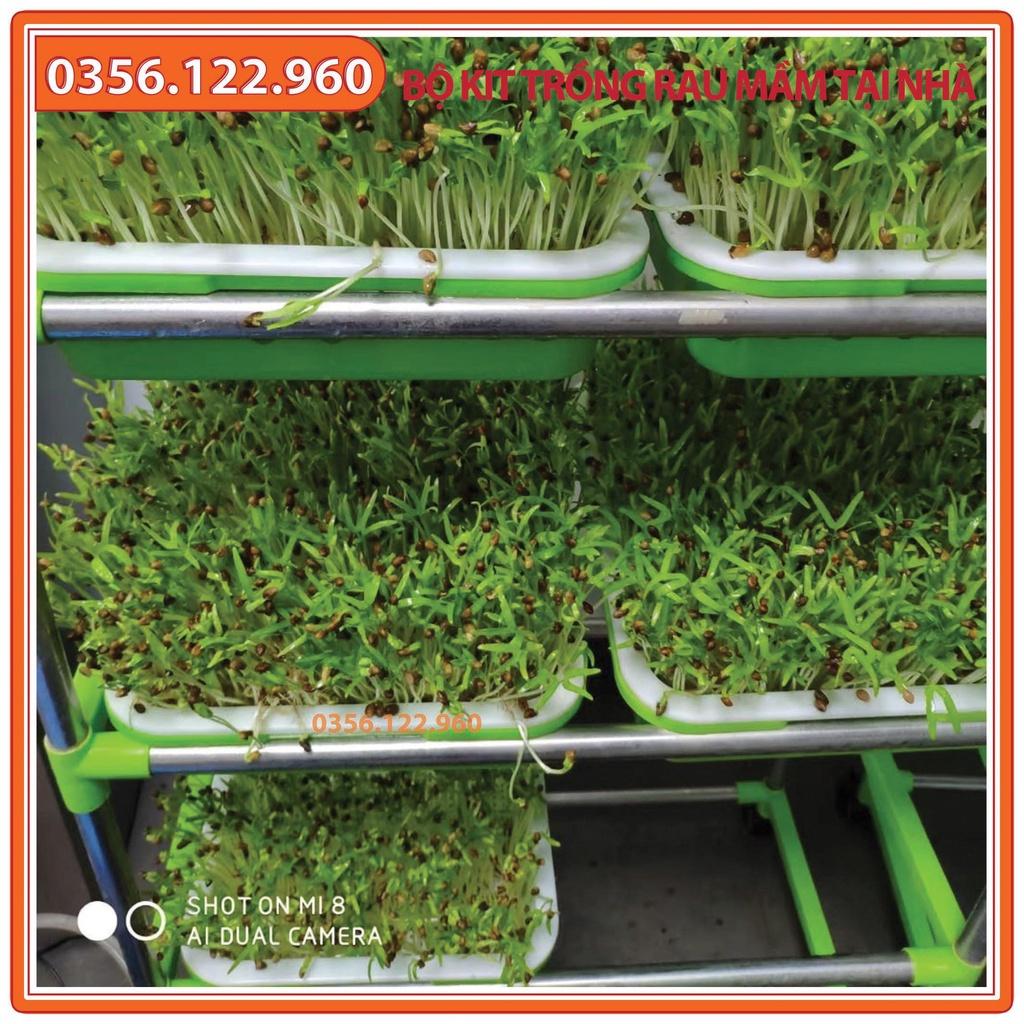 Bộ kit Kệ Khay trồng rau mầm 3 khay 3 tầng bao gồm: Giá đỡ có 4 bánh + 3 Khay trồng + 200g Hạt giống + Vòi xịt nước.