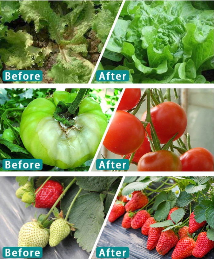 Đèn led trồng cây 120W