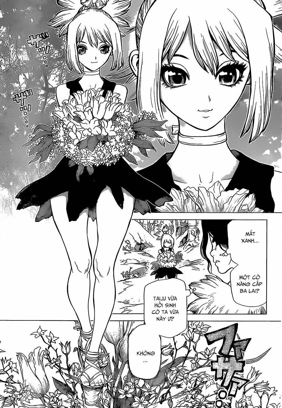 dr.stone - hồi sinh thế giới chapter 16 5