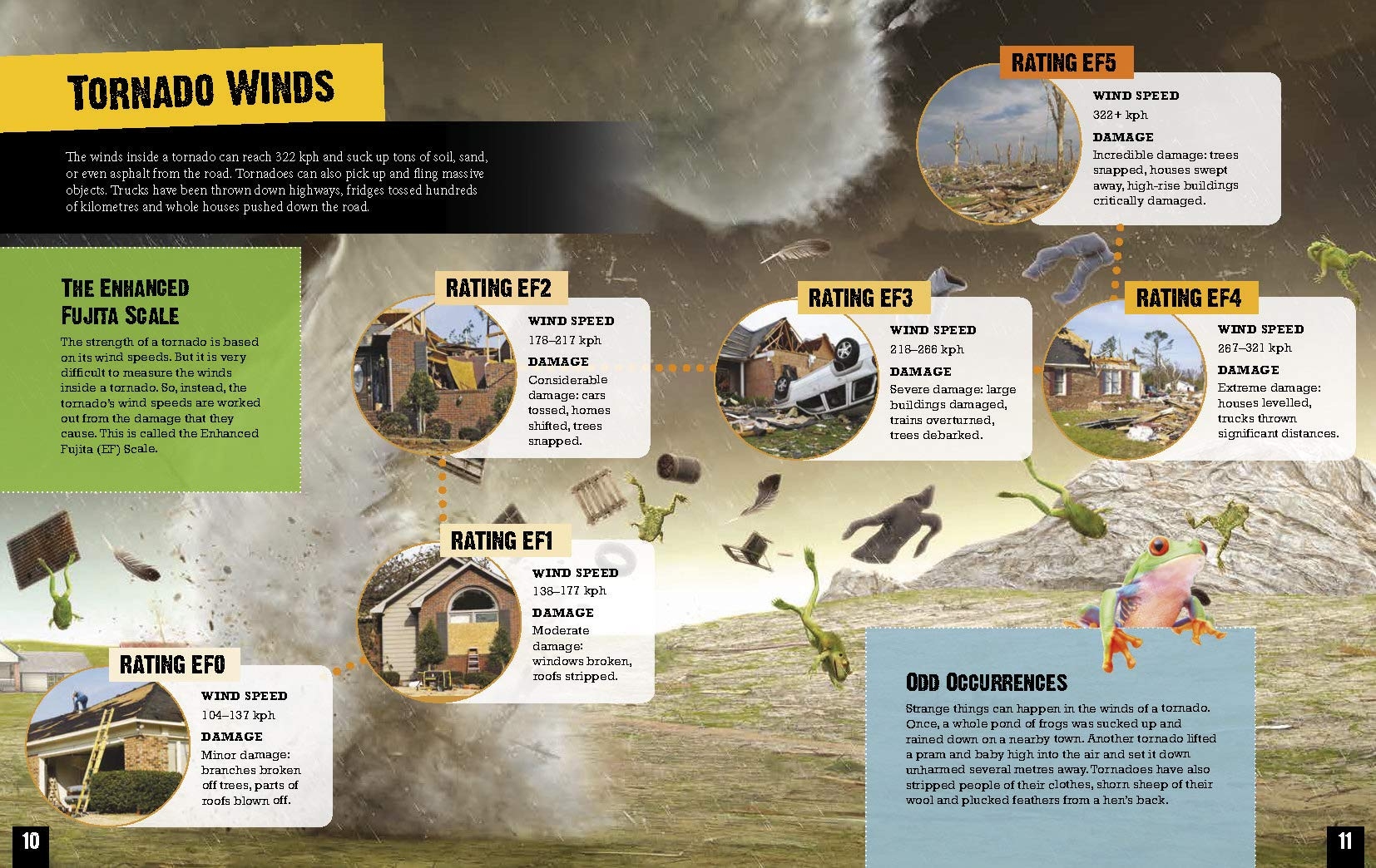 Hurricanes and Tornadoes (Natural Disaster Zone)