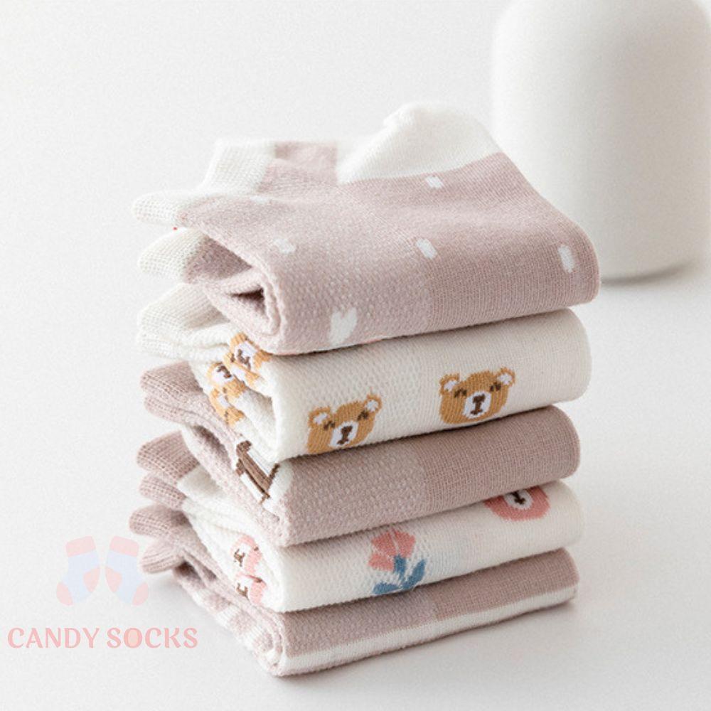 Tất nữ vớ nữ cổ thấp, Set 5 đôi tất nữ phong cách Hàn Quốc, co dãn 4 chiều, chất liệu cotton Hàn cao cấp TN-217