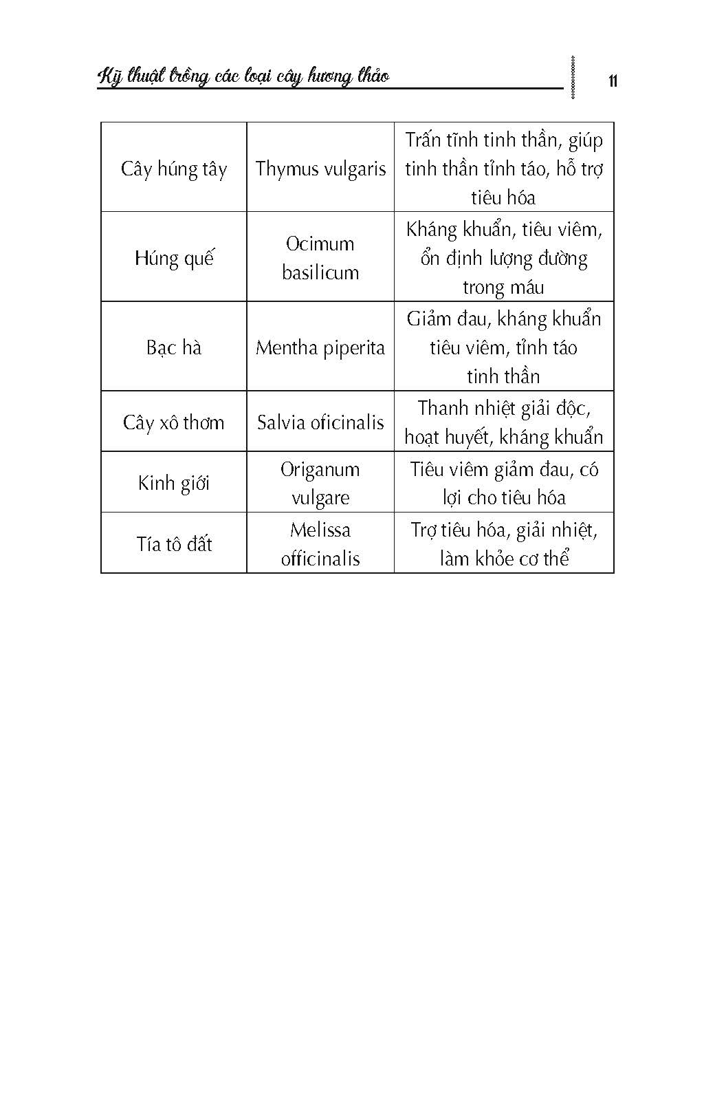 Kỹ Thuật Trồng Các Loại Cây Hương Thảo (Tái bản 2025)