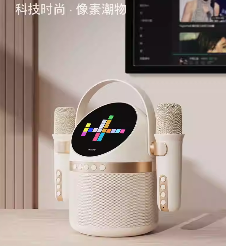 LOA KARAOKE TẶNG KÈM 2 MICRO TAS2508WT/93