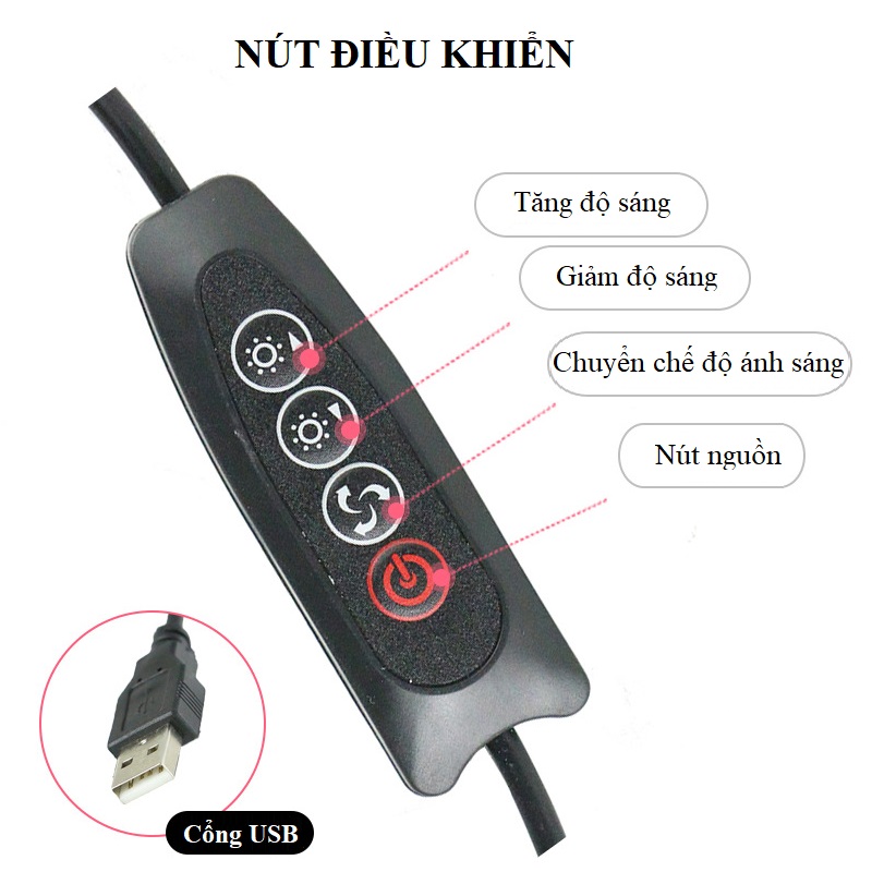 Bộ Dụng Cụ Hỗ Trợ Livestream LT-01