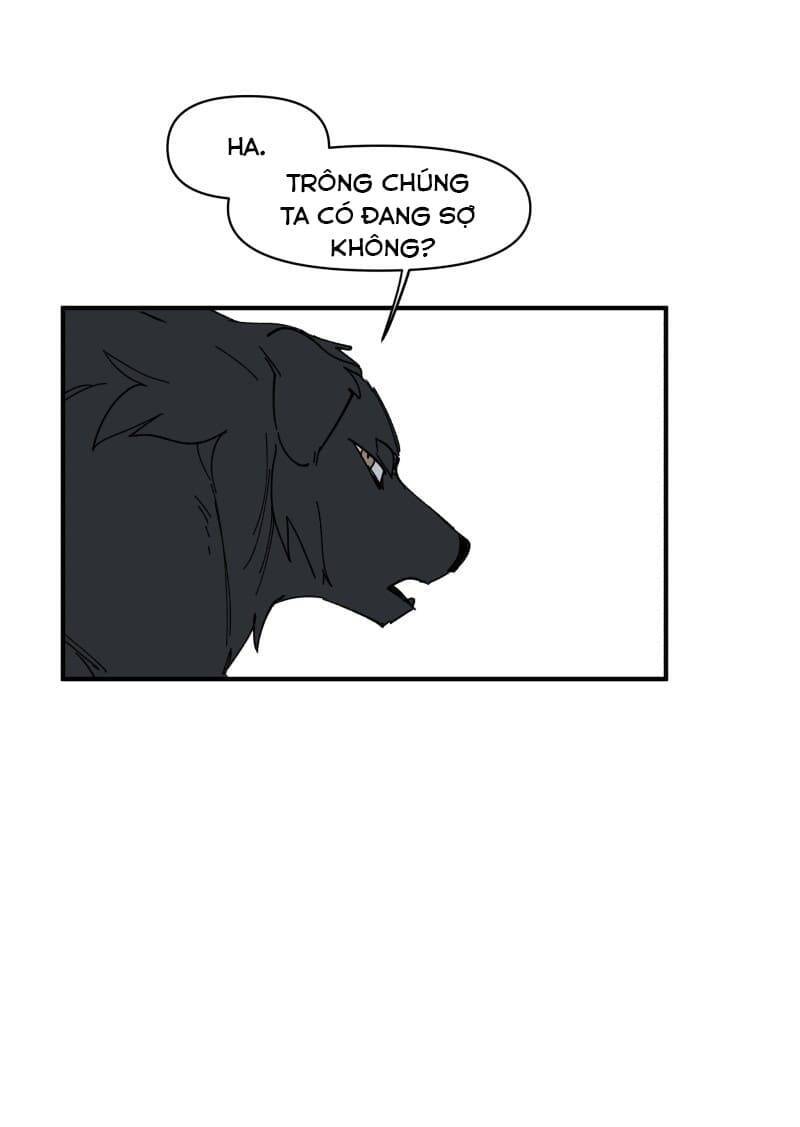 lumine - cội nguồn ánh sáng chapter 156 2