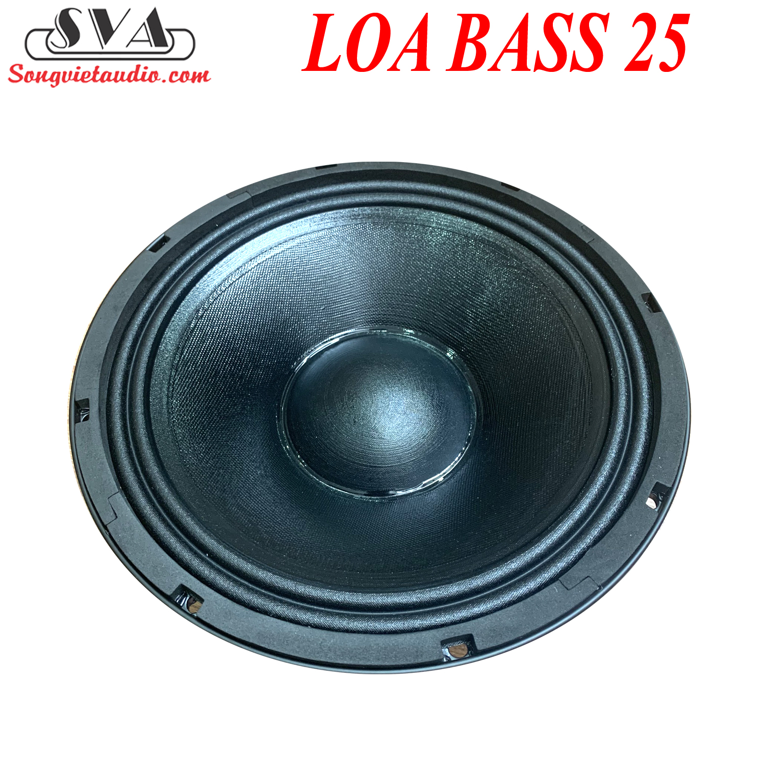 LOA BASS 25 COIL 65 TỪ 156 - AZ20 - 1 CHIẾC