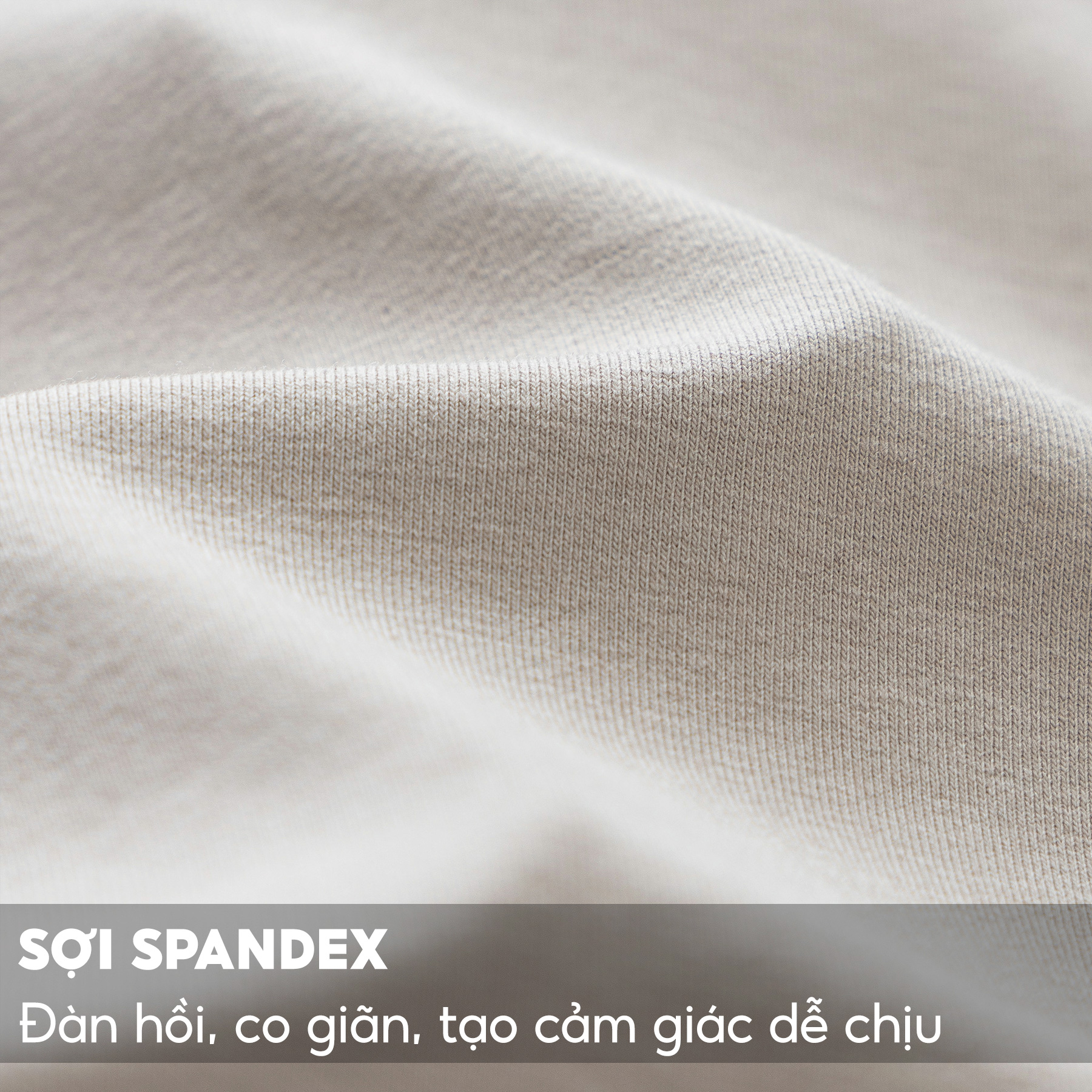 Áo Sweater Nam Chất Nỉ Cotton 5S FASHION, Dày Dặn, Mềm Mịn, Thiết Kế Trơn Basic, Trẻ Trung
