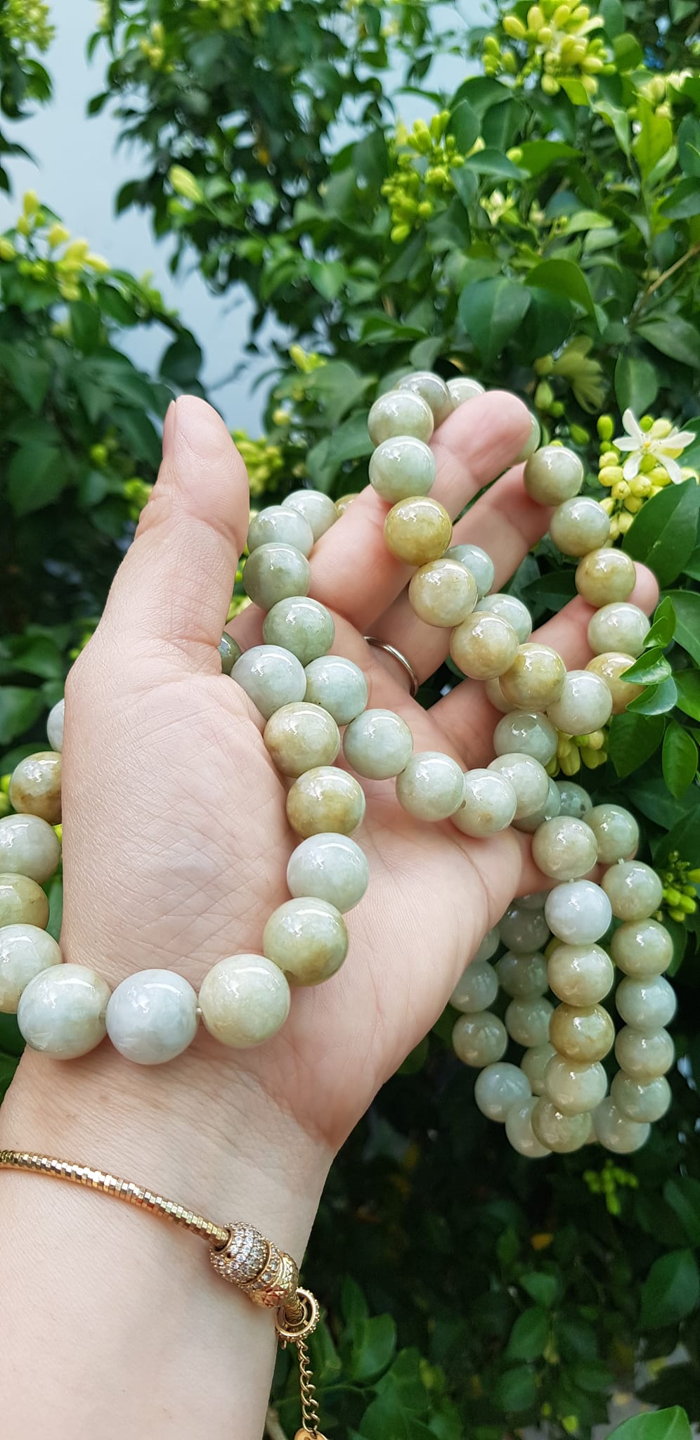 Vòng tay chuỗi nam nữ đá cẩm thạch tự nhiên trắng vàng bóng ngời Vòng size hạt 13mm Màu trắng vàng đất nhẹ bóng mượt thiệt đẹp ạ