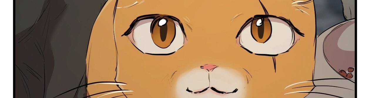 đàn thỏ của habibi chapter 22 524