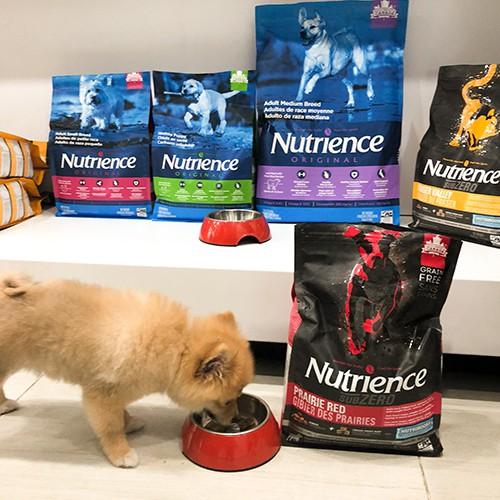 Thức Ăn Hạt Cho Chó Corgi Nutrience Subzero Bao 5kg - Thịt Gà Tây, Cá Hồi, Rau Củ Quả &amp; Trái Cây Tự Nhiên