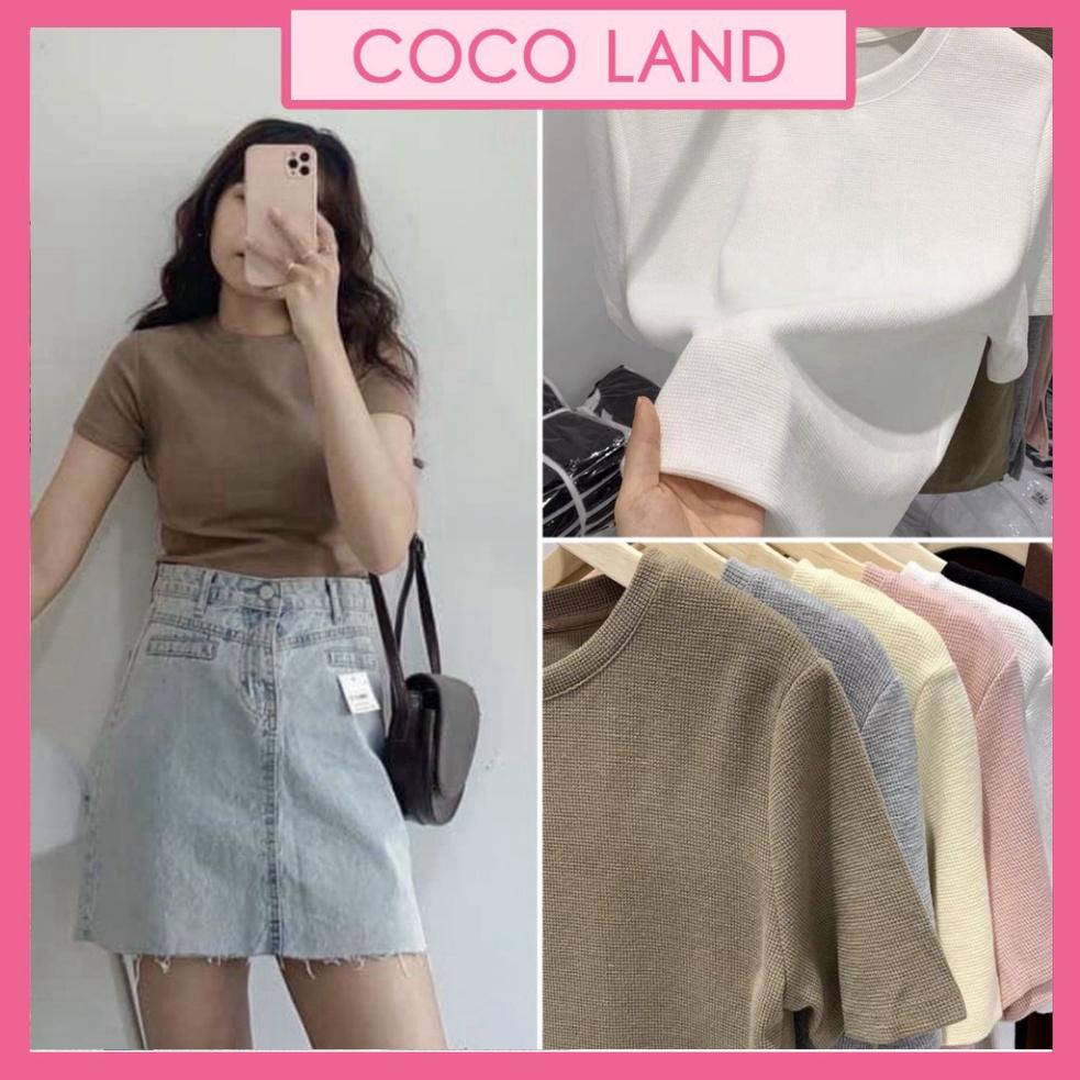 Áo phông nữ cổ tròn cộc tay vải tổ ong, áo thun nữ form rộng nhiều màu hàng đẹp chất mềm , trendy