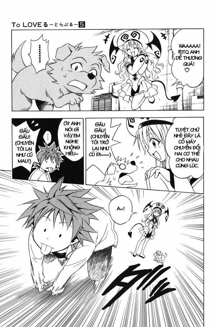 bọn tớ thích cậu! rito chapter 43 5