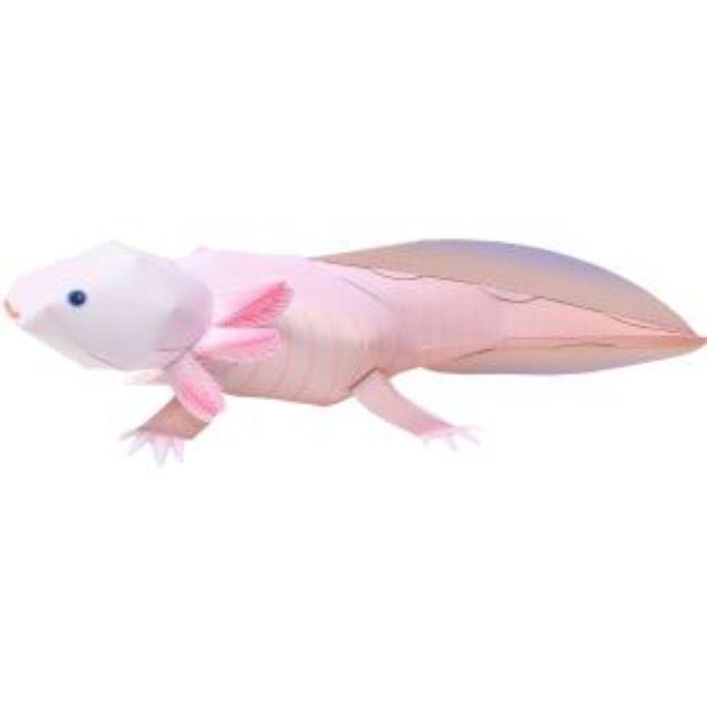 Mô hình giấy Động Vật kỳ giông Mexico (Axolotl)