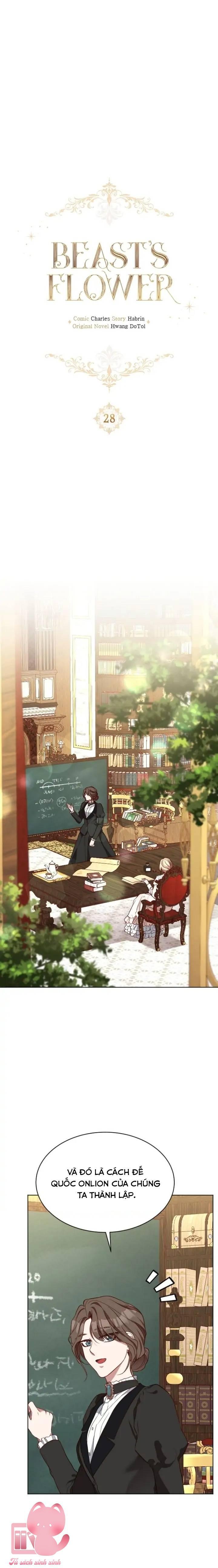 đoá hoa của dã thú chapter 28 2