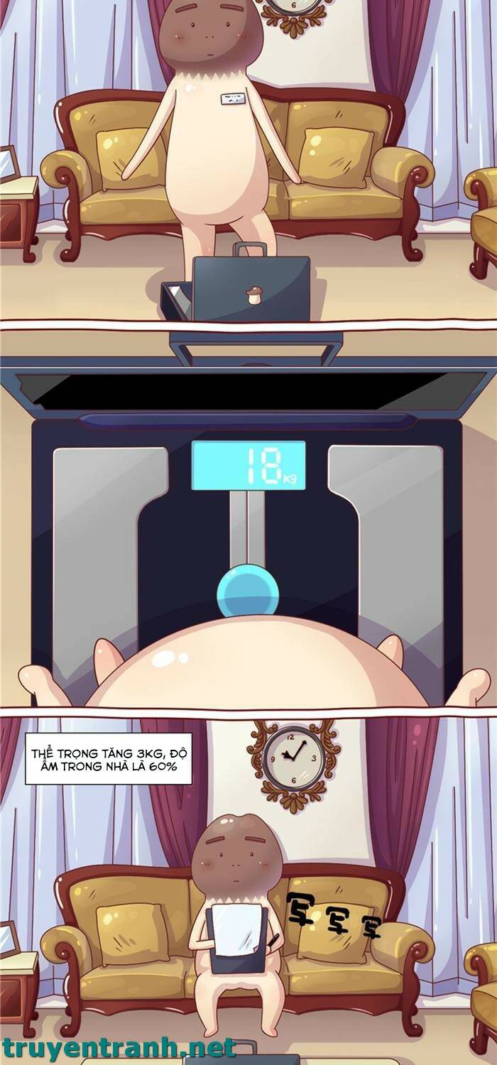 cây nấm kì khả chapter 5 6