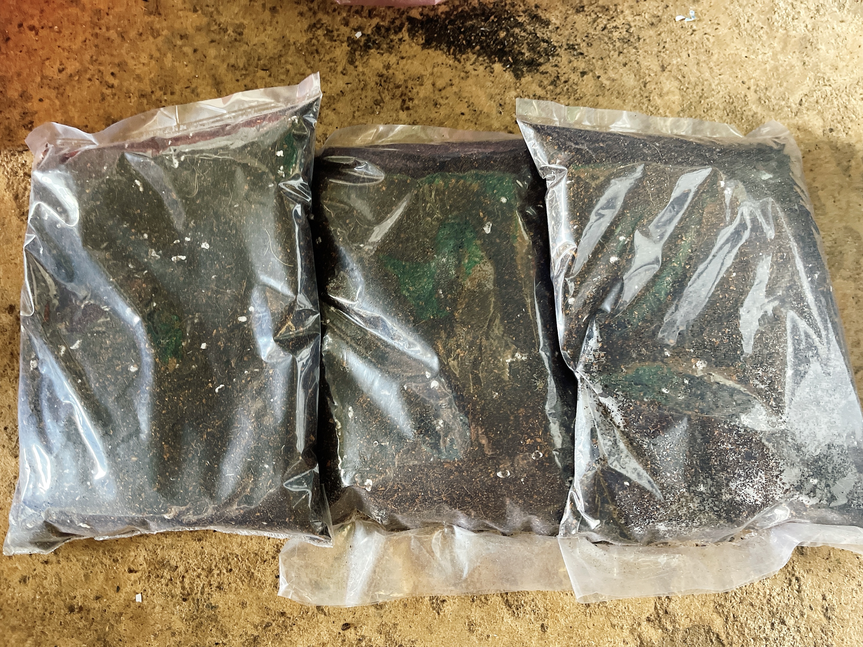 Đất Nền Trồng Sen Đá