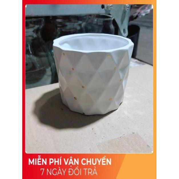 Chậu Trồng Cây
