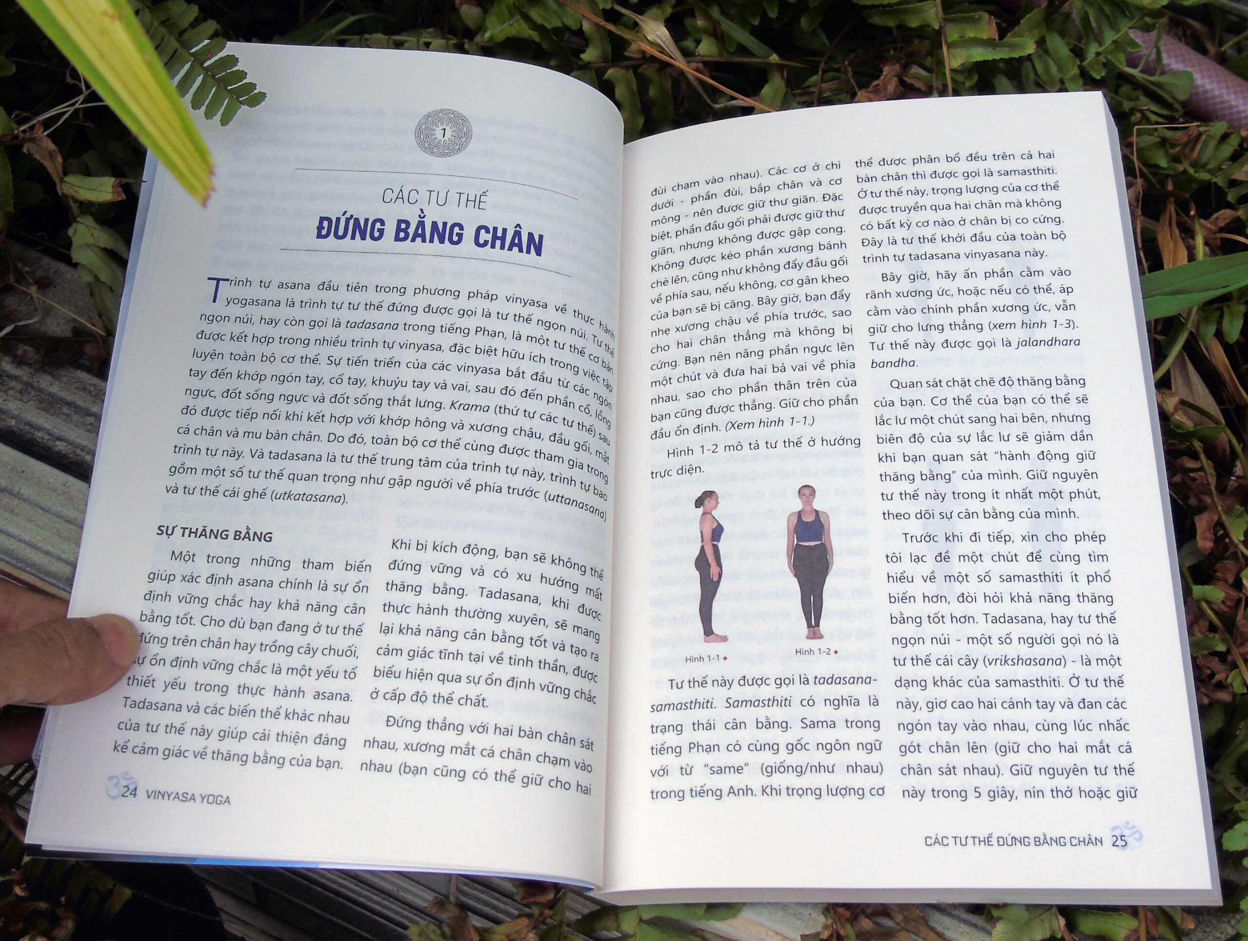 Vinyasa Yoga - Hợp Nhất Cơ Thể Và Tâm Trí Bằng Hơi Thở - Srivatsa Ramaswami - (bìa mềm)