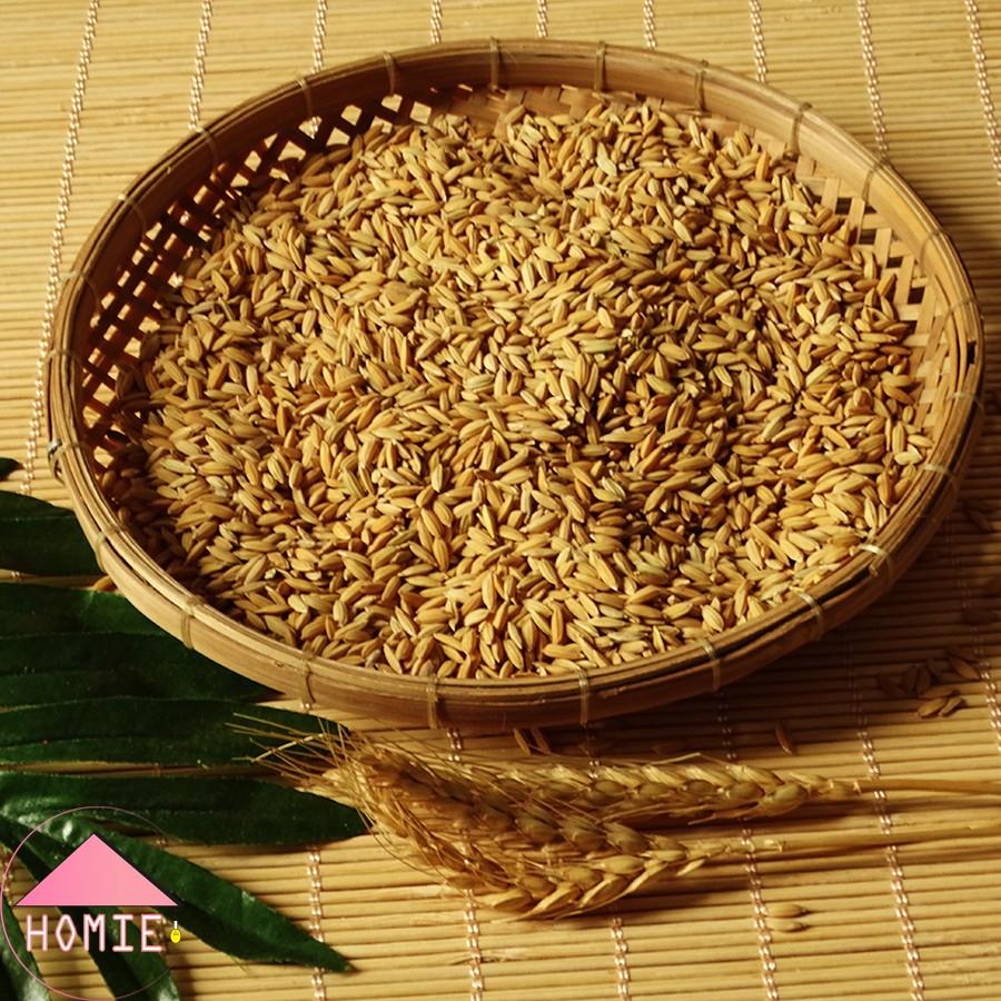 Sàng gạo mini trang trí đơn giản