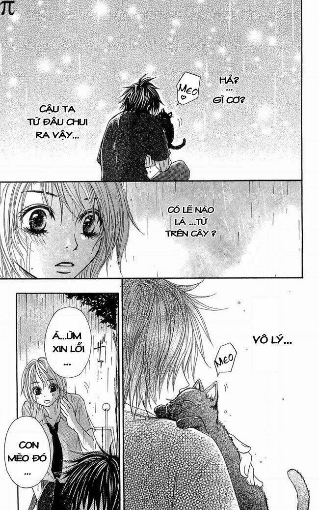 cậu bé hoang dã chapter 1 6