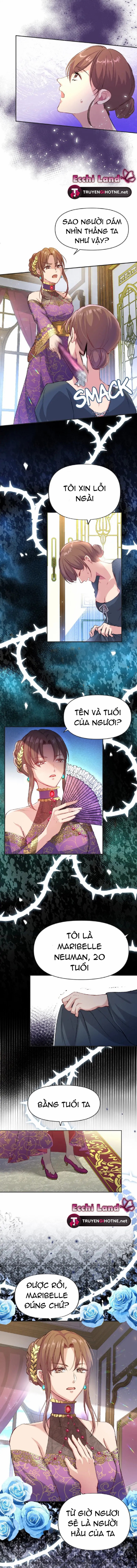 cô dâu lừa dối và chàng sư tử hung dữ chapter 2.2 3