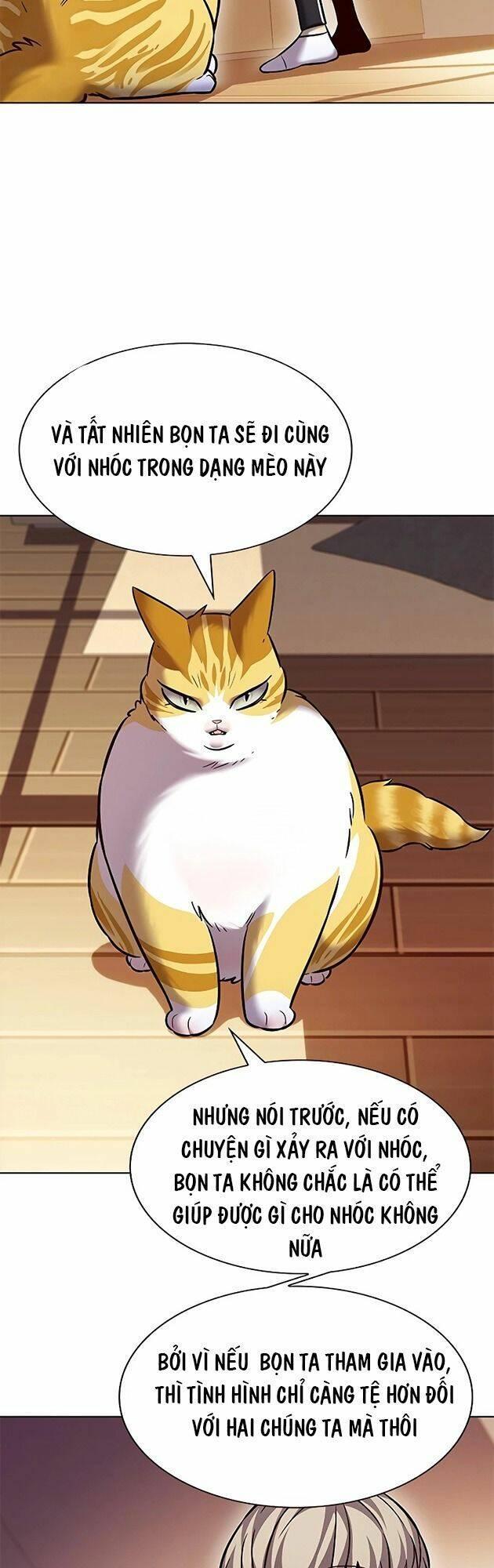 biến thân thành mèo chapter 242 35