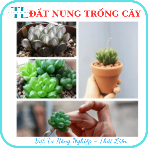 Hạt đất nung trồng cây thái lan, nhiều size, vô trùng, sử dụng lâu dài, trồng sen đá, phong lan, sứ, thuỷ canh