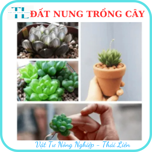 Hạt đất nung trồng cây thái lan, nhiều size, vô trùng, sử dụng lâu dài, trồng sen đá, phong lan, sứ, thuỷ canh (Bịch 1dm3 = 0.5kg)