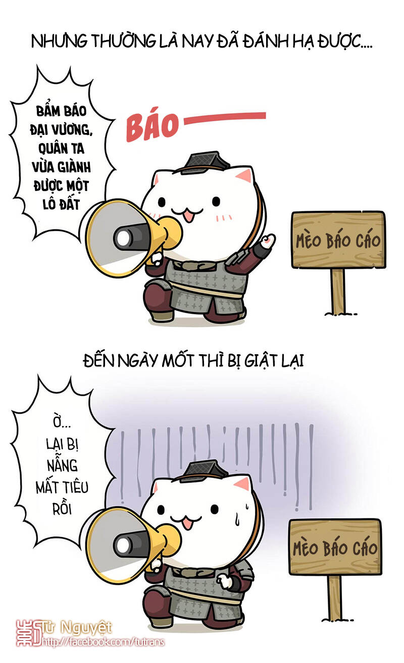 nếu lịch sử là một bầy mèo chapter 23 13