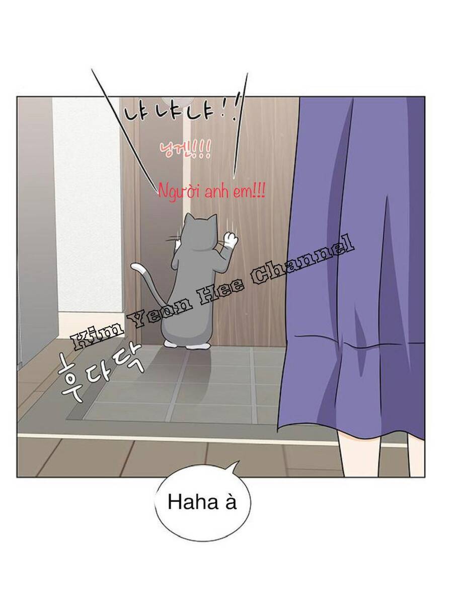 idol và sếp, em yêu ai? chapter 91 39