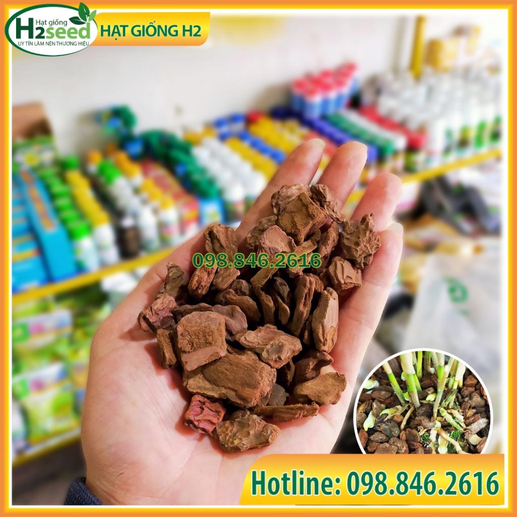 Vỏ thông đã mài đẹp và xử lý nấm mốc size 2x3cm, 3x4cm chuyên dụng cho trồng lan - Hạt giống H2 Seeds