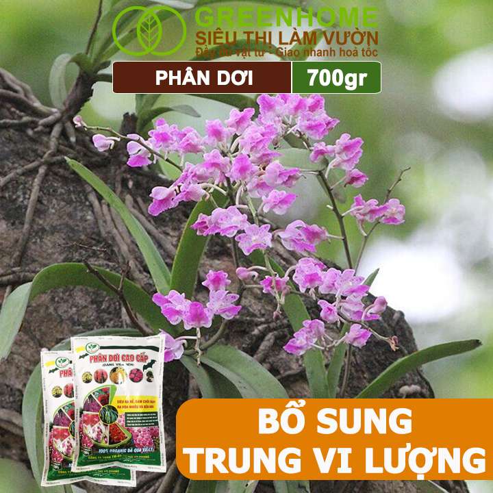 Phân Dơi Greenhome, Bao 700gr, Viên Nén, Đã Qua Xử Lý, Ra Rễ Mạnh, Hoa Nhiều, Tốt Cho Lan, Kiểng, Rau, Cây Ăn Trái