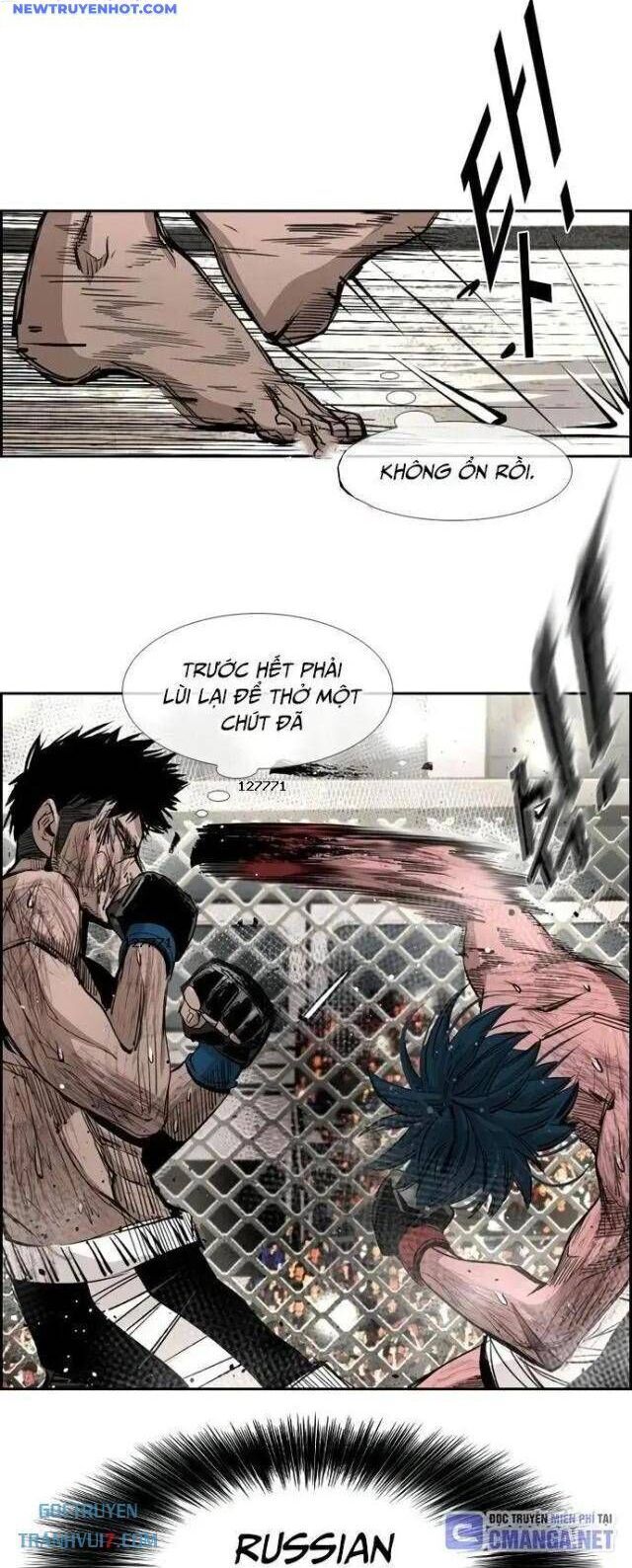 shark - cá mập chapter 164 2