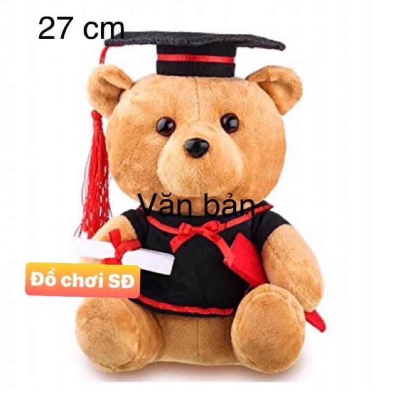 THÚ BÔNG GẤU TỐT NGHIỆP TRUNG 27cm - tặng túi gói quà và nơ