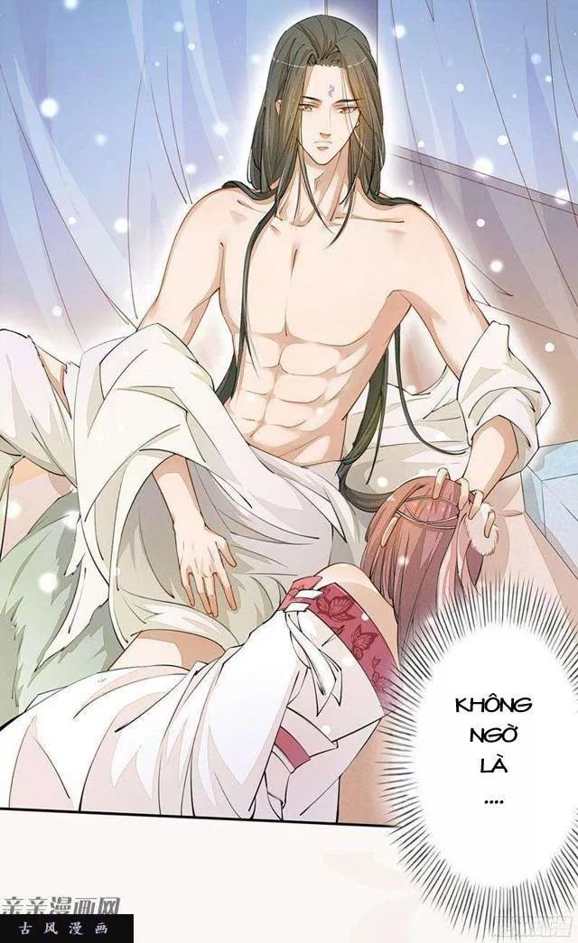 tuyệt thế luyện đan sư chapter 27 3