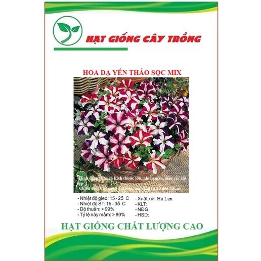 Hạt giống hoa dạ yến thảo sọc nhiều màu CT405 - Gói 50 hạt