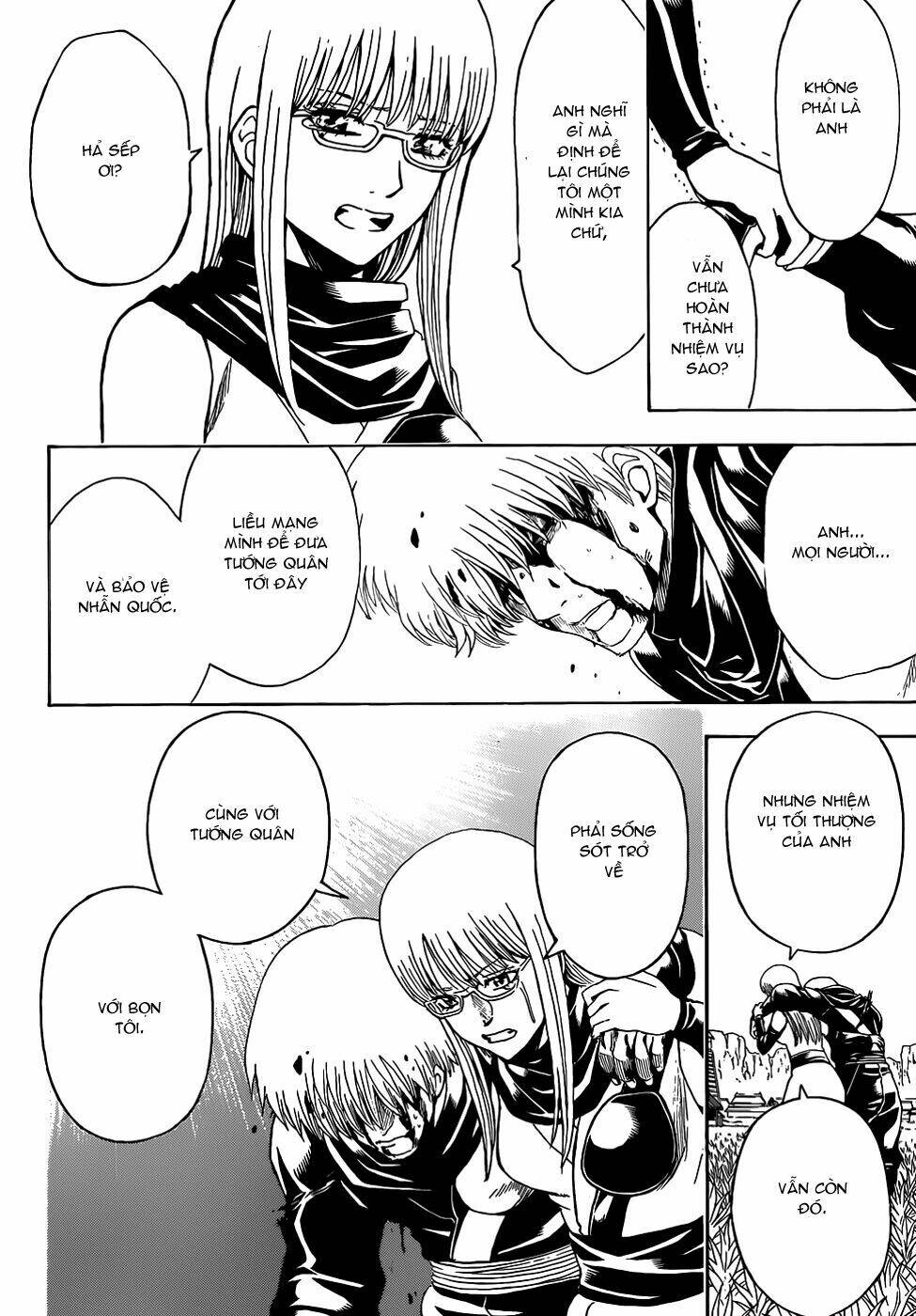 gintama - linh hồn bạc chapter 510 13