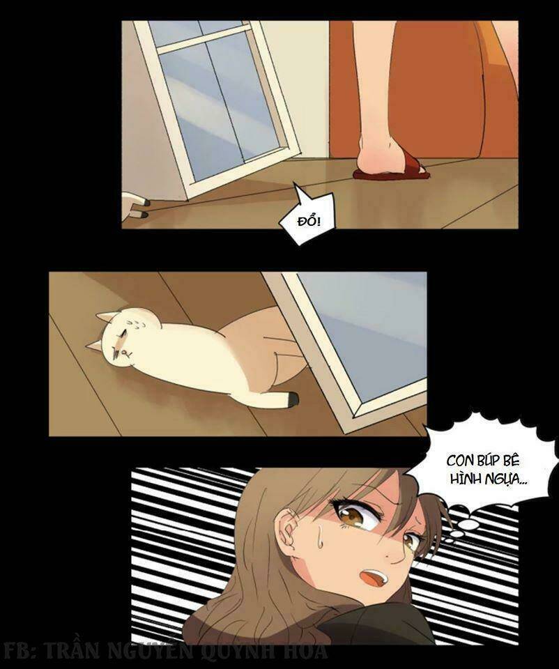 fod star chapter 1 5