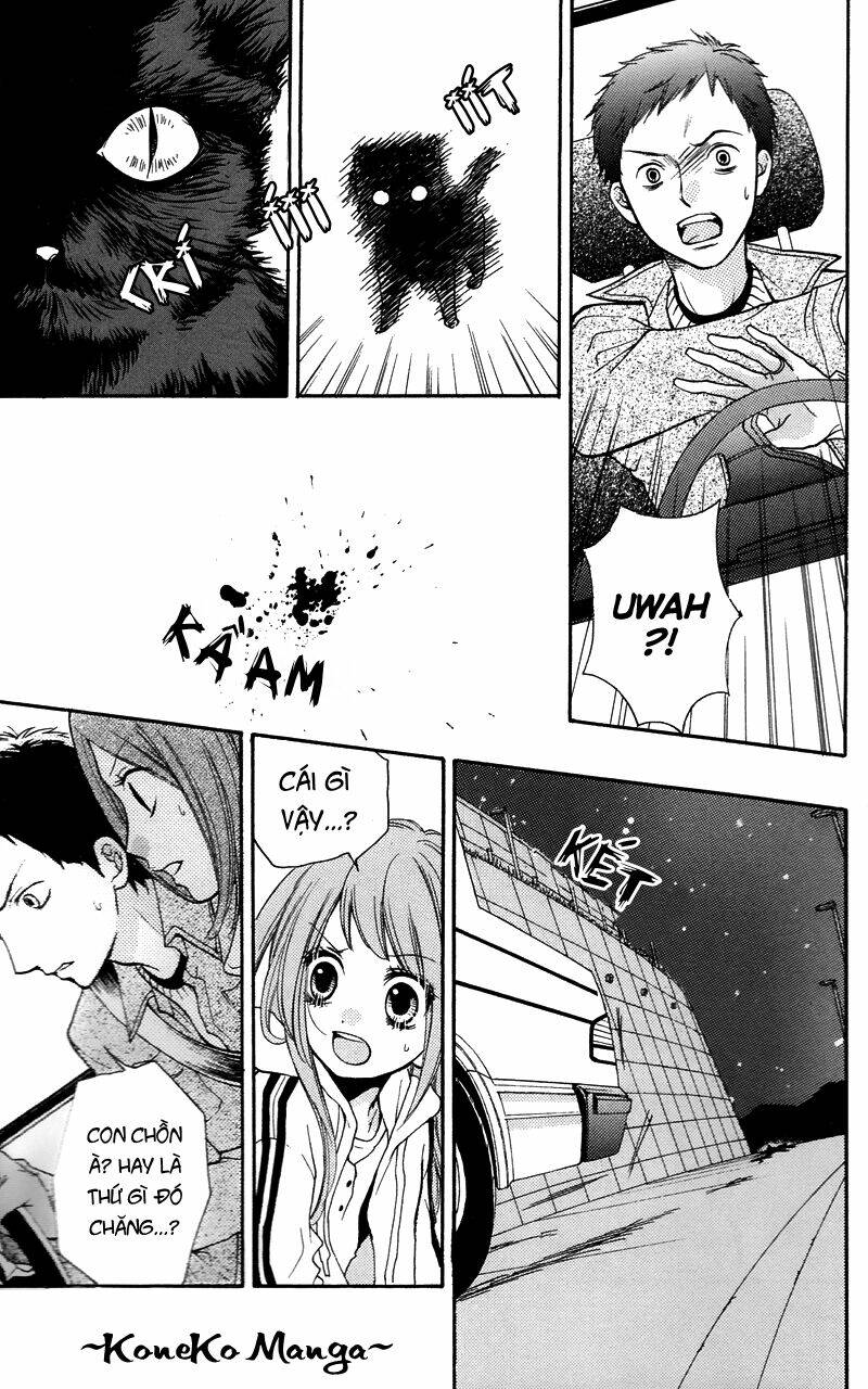 lớp học rùng rợn chapter 16.5 5